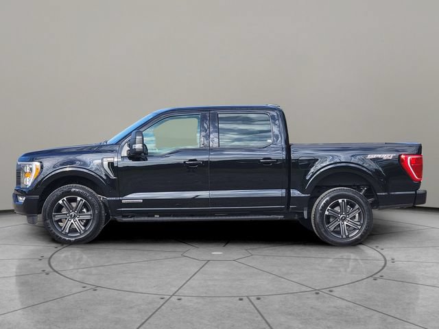 Certified 2023 Ford F150 XLT w/ Equipment Group 302A High AWD/4WD image 9