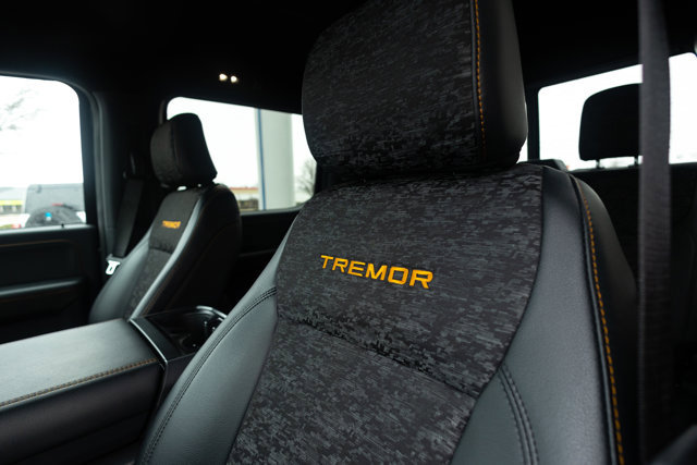 Certified 2025 Ford F150 Tremor image 17
