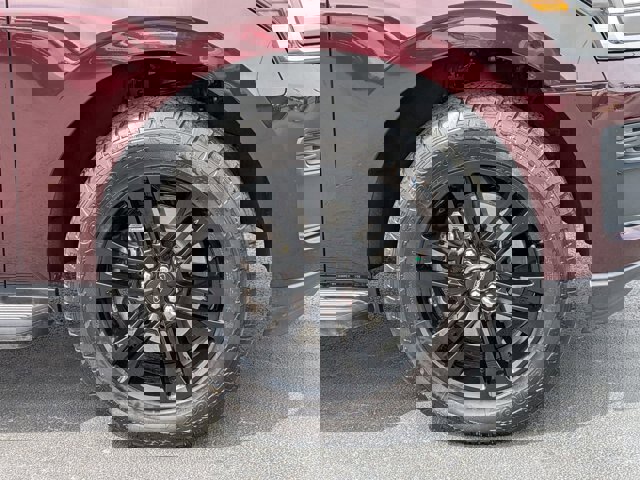 Certified 2024 Ford Expedition XLT image 9