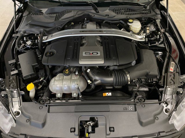 Certified 2018 Ford Mustang GT Premium w/ Equipment Group 401A RWD image 5