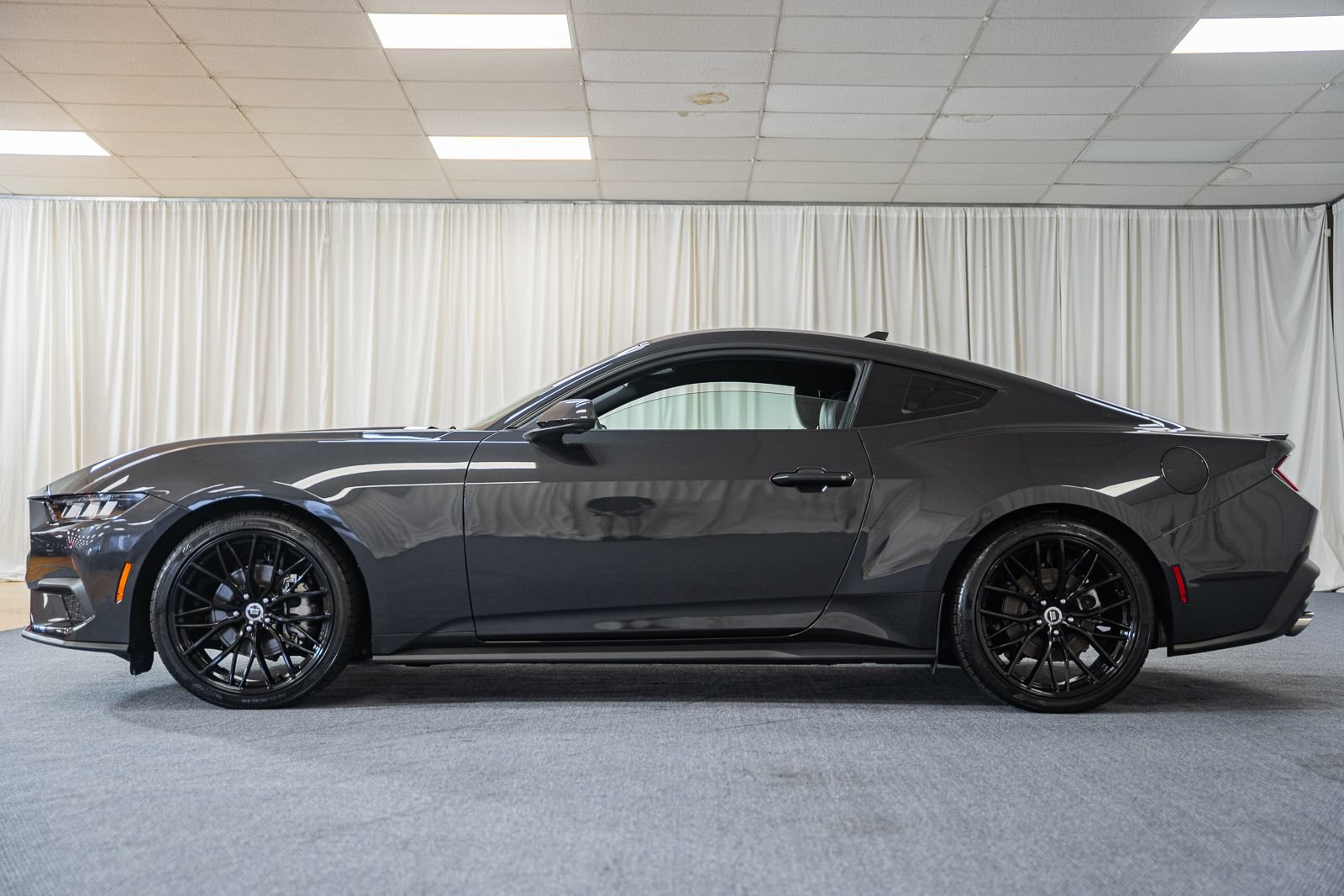 Certified 2024 Ford Mustang Premium RWD image 5