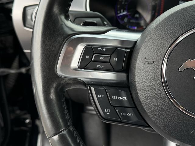 Certified 2019 Ford Mustang Premium w/ Equipment Group 201A RWD image 14