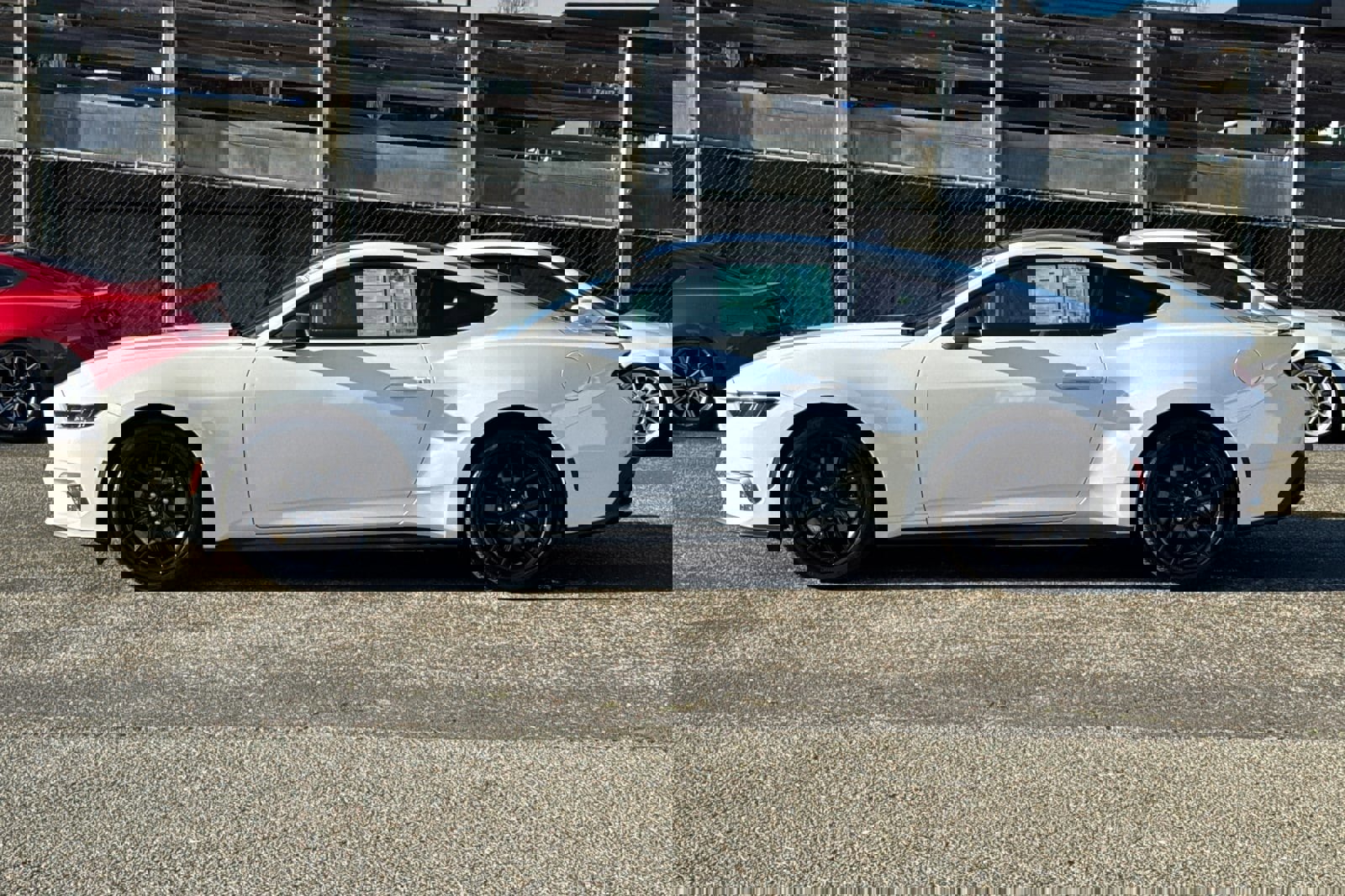 Certified 2025 Ford Mustang Coupe image 7