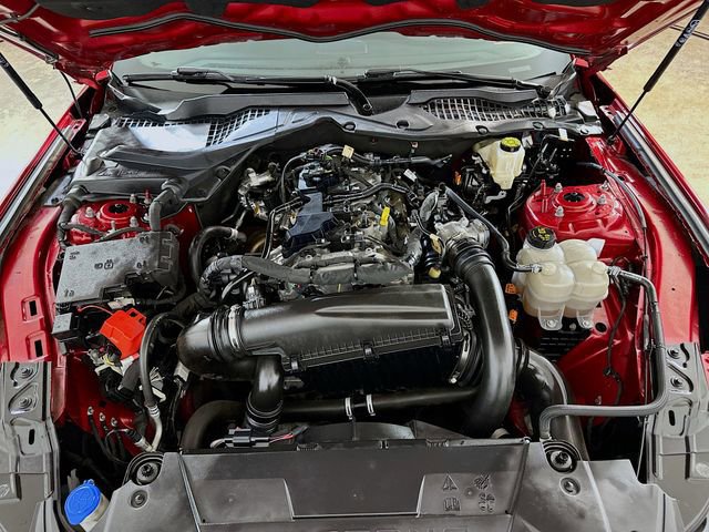 Certified 2024 Ford Mustang Premium image 28