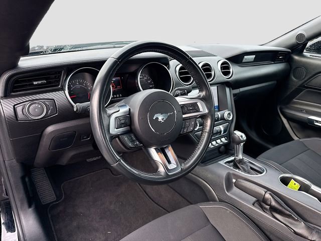 Certified 2023 Ford Mustang Coupe w/ Equipment Group 101A image 10