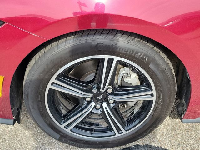 Certified 2025 Ford Mustang Premium RWD image 9