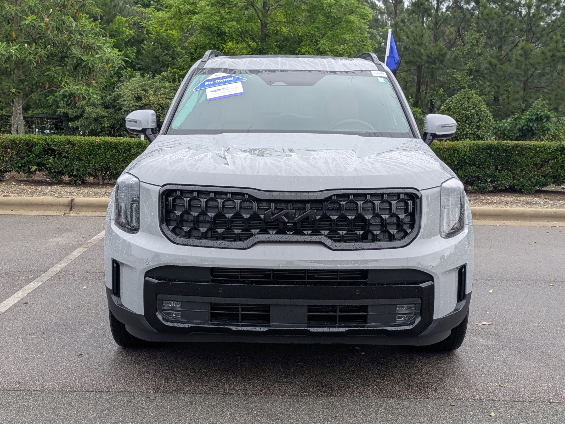 Used 2025 Kia Telluride SX Prestige X-Line AWD/4WD image 9
