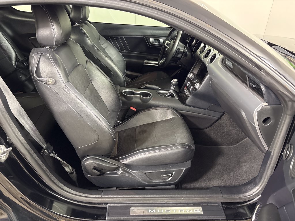 Certified 2019 Ford Mustang Premium RWD image 6