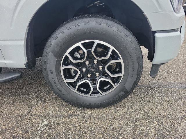 Certified 2023 Ford F150 XLT w/ Equipment Group 302A High image 6