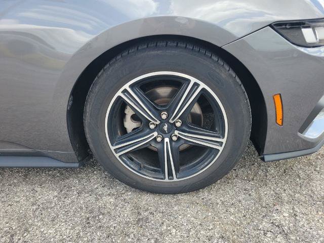 Certified 2024 Ford Mustang Premium RWD image 6