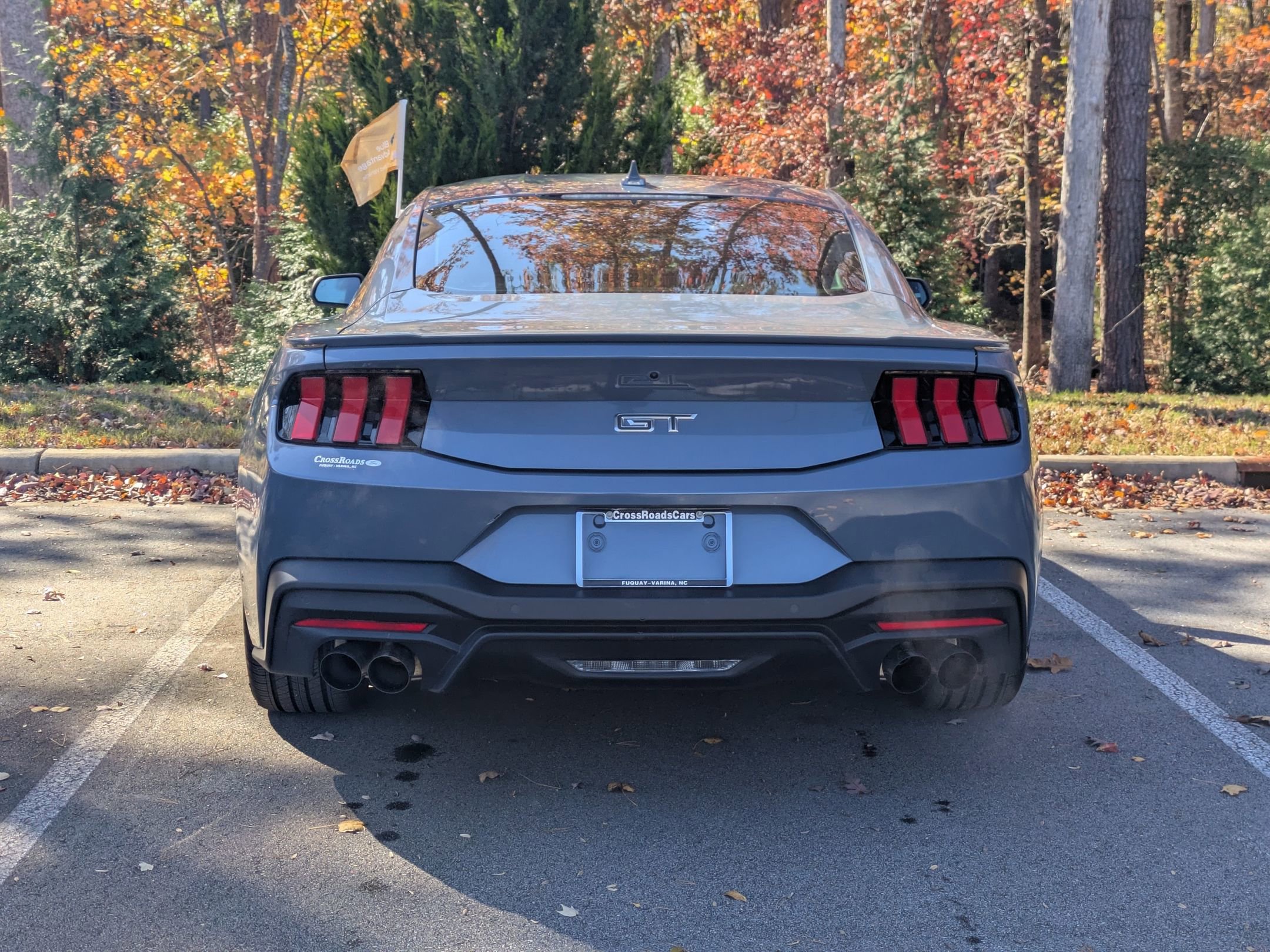 Certified 2024 Ford Mustang GT Premium image 4