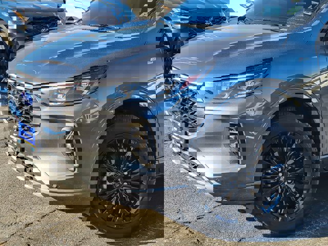 Certified 2024 Ford Escape ST-Line Elite w/ Premium Technology Package image 2