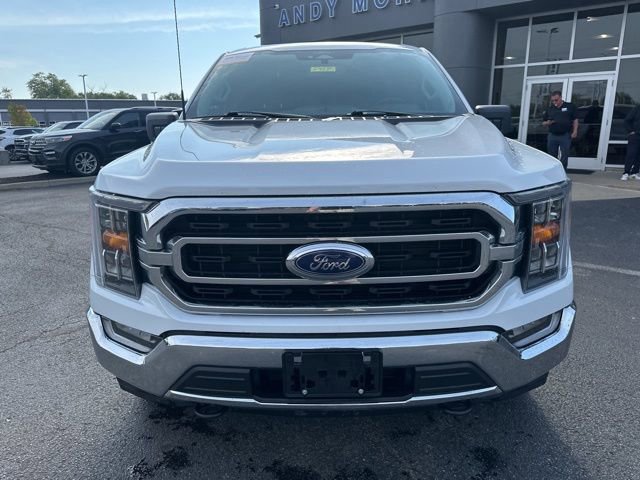 Certified 2022 Ford F150 XLT w/ Equipment Group 302A High image 6