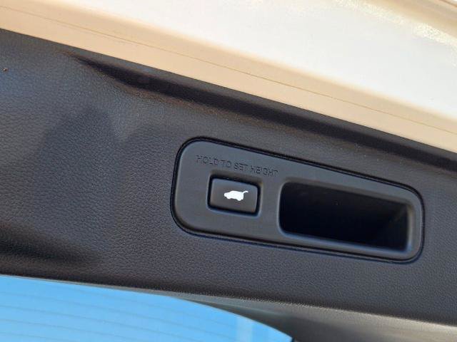 Used 2024 Honda Pilot Elite image 17