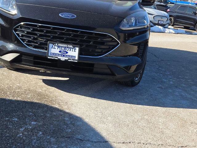 Certified 2021 Ford Escape SE w/ SE Sport Appearance Package image 5