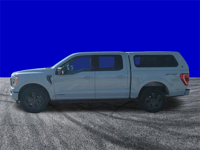 Certified 2023 Ford F150 XLT w/ Equipment Group 302A High image 2