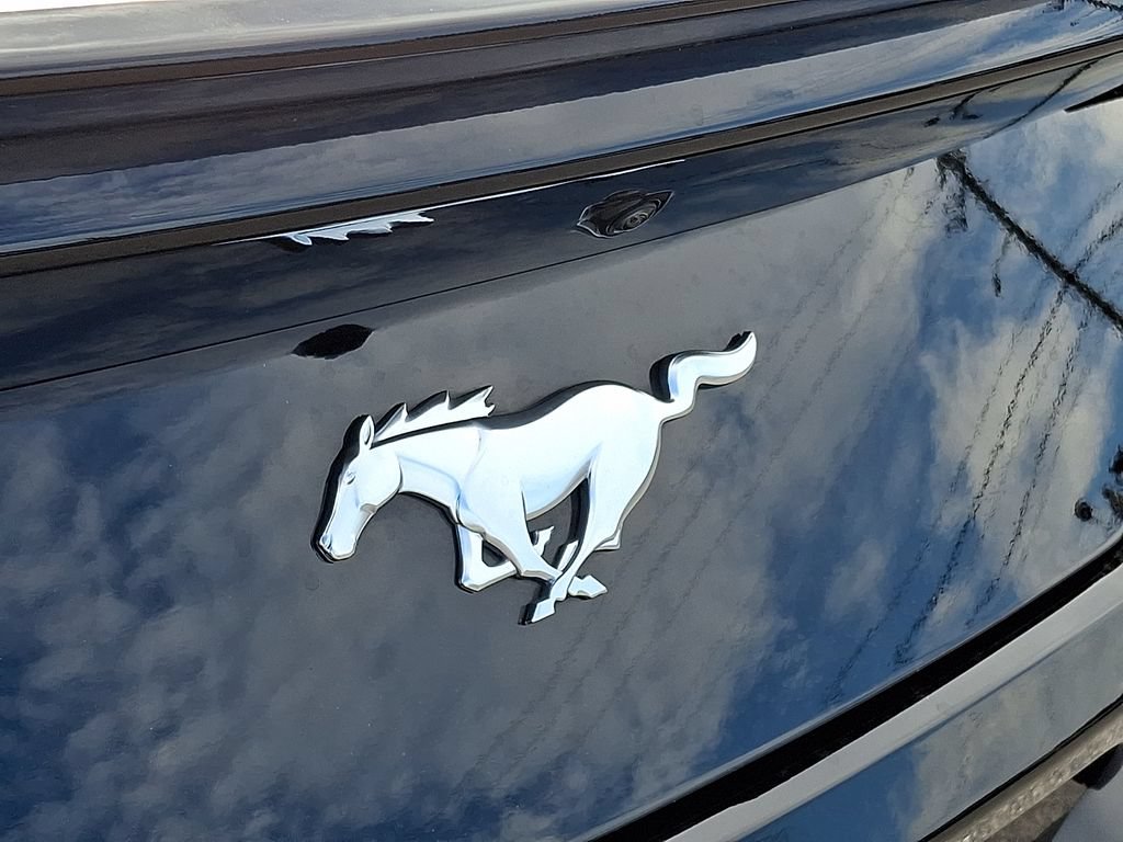 Certified 2026 Ford Mustang Coupe RWD image 31