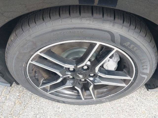 Certified 2021 Ford Mustang GT Premium w/ Enhanced Security Package RWD image 13