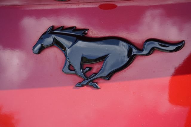 Certified 2024 Ford Mustang Coupe RWD image 34