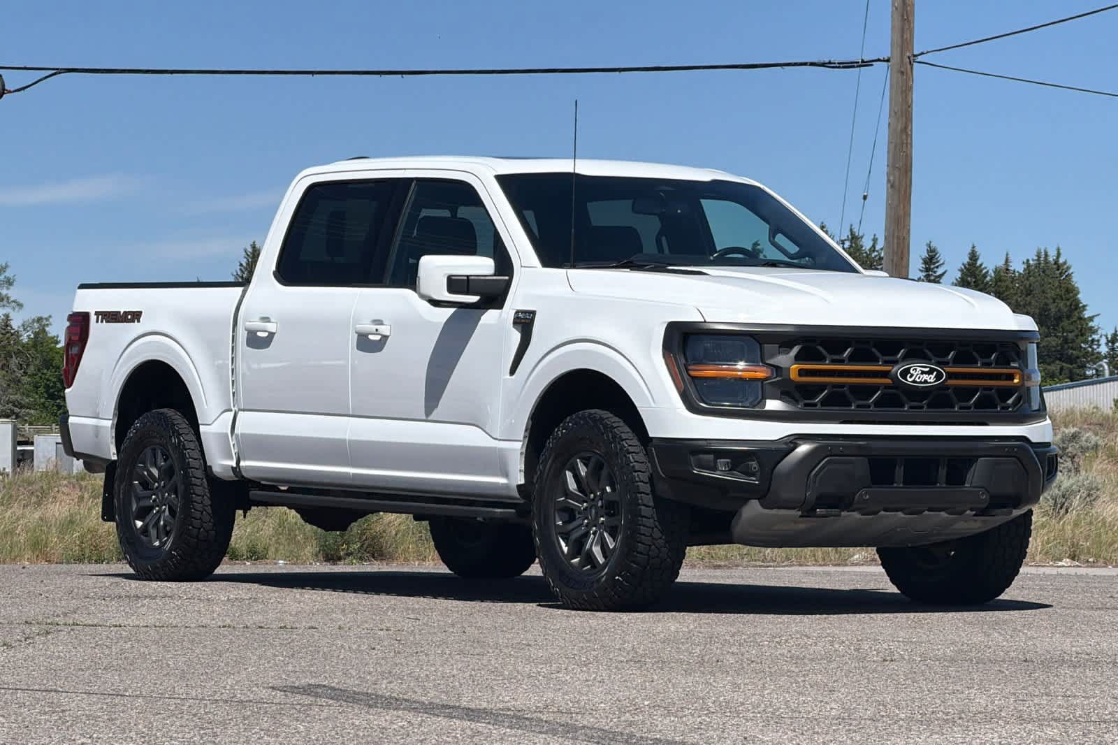 Certified 2024 Ford F150 Tremor w/ Equipment Group 402A High AWD/4WD image 9