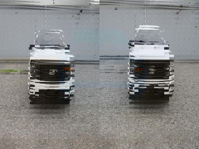 Certified 2024 Ford F150 STX w/ STX Black Appearance Package image 2