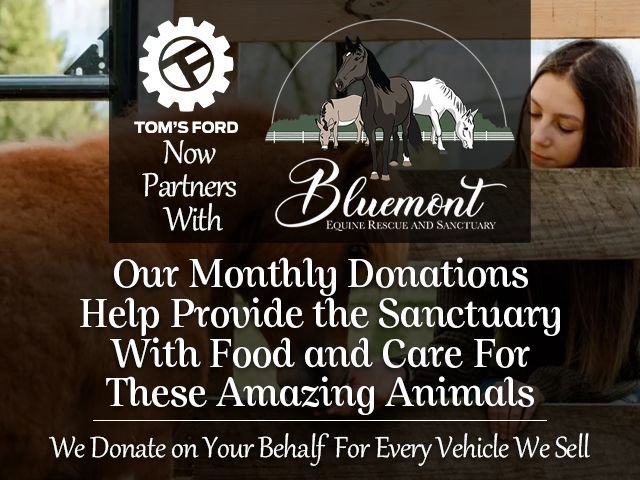 Certified 2021 Ford Expedition Max Limited image 10