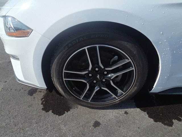 Certified 2023 Ford Mustang Premium image 12