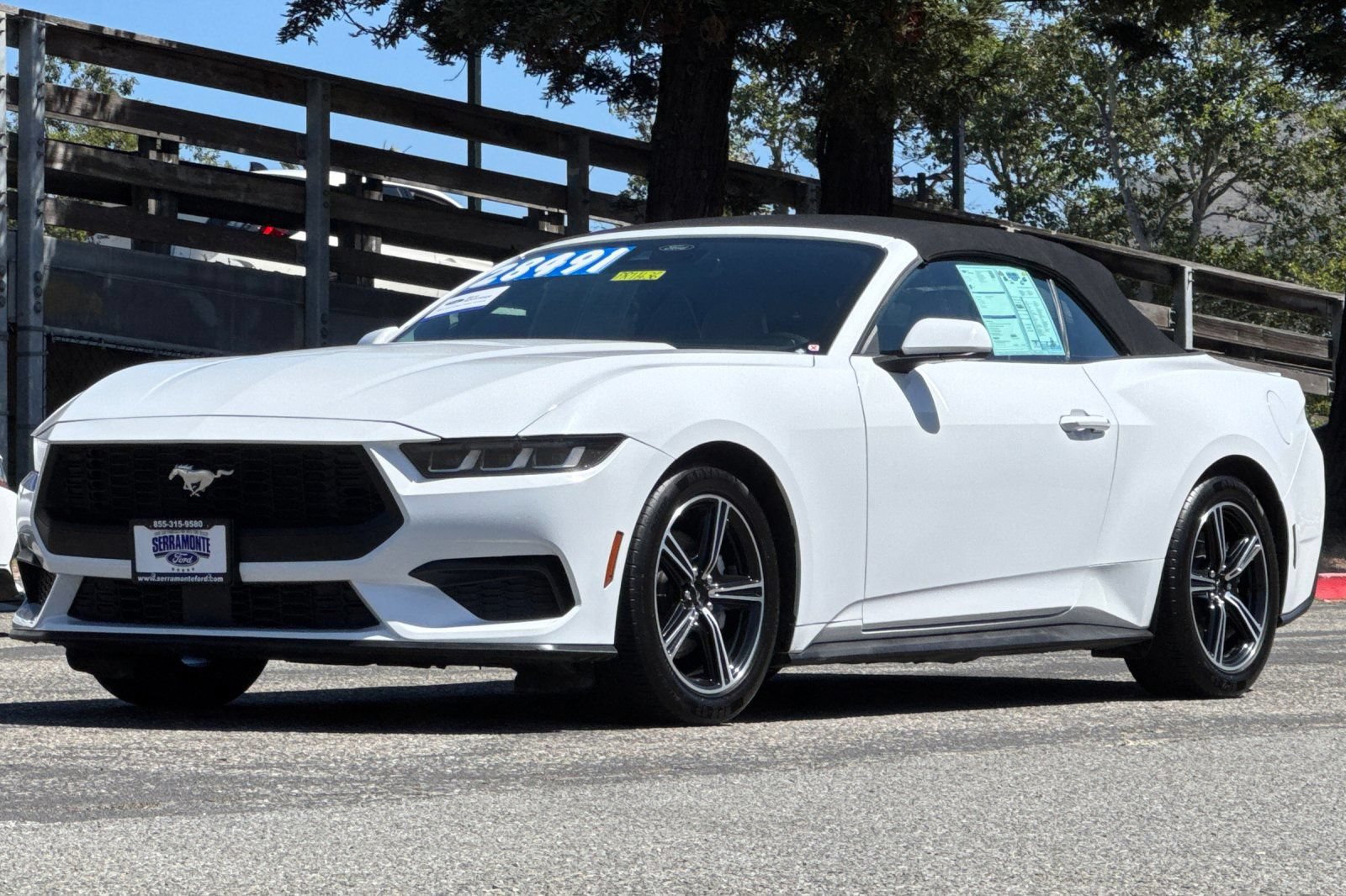 Certified 2024 Ford Mustang Premium RWD image 11