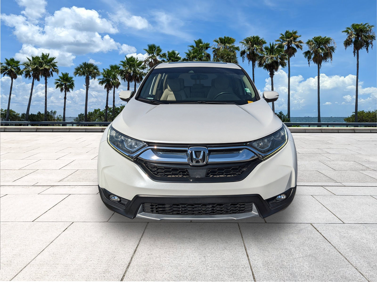 Used 2019 Honda CR-V EX-L image 3