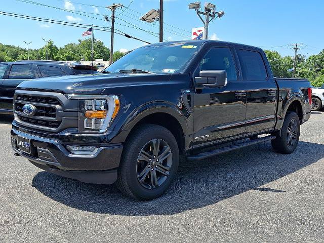Certified 2023 Ford F150 XLT w/ Equipment Group 302A High AWD/4WD image 3
