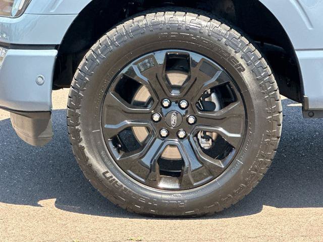 Certified 2023 Ford F150 Platinum w/ Equipment Group 701A High AWD/4WD image 23