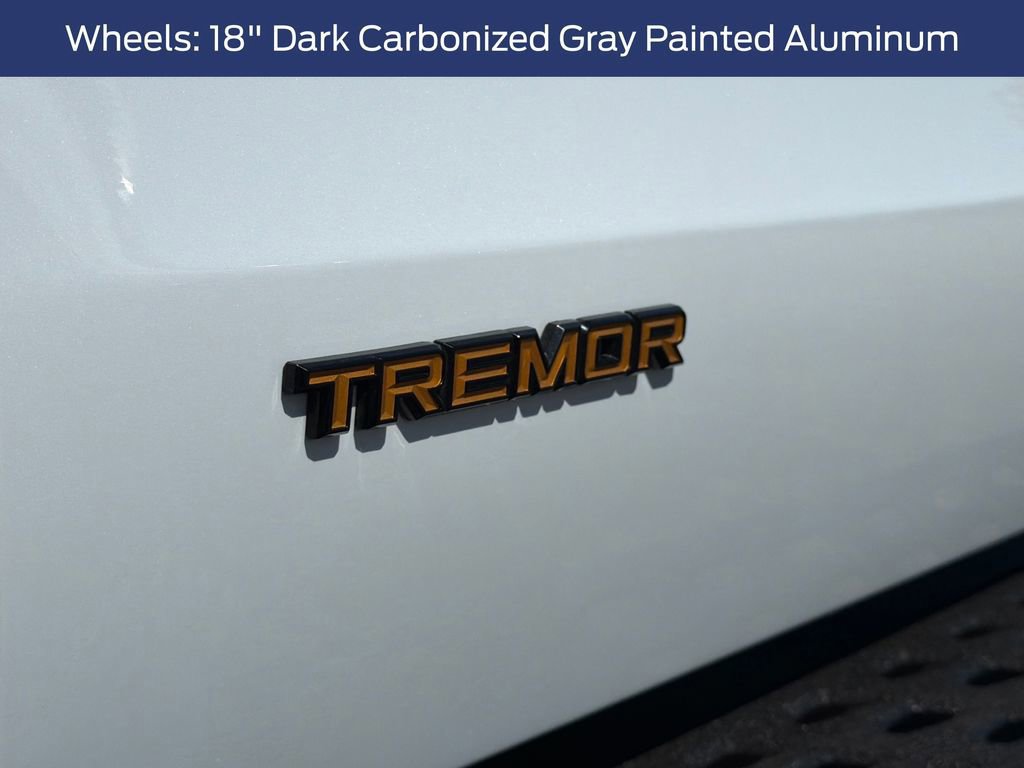 Certified 2025 Ford Expedition Tremor image 17