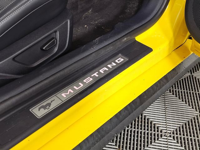 Certified 2024 Ford Mustang GT Premium RWD image 16