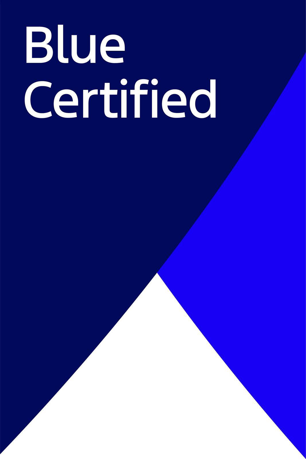 Certified 2024 Ford Mustang Mach-E Premium image 9