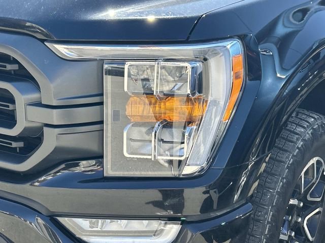 Certified 2023 Ford F150 XLT w/ Equipment Group 302A High image 8