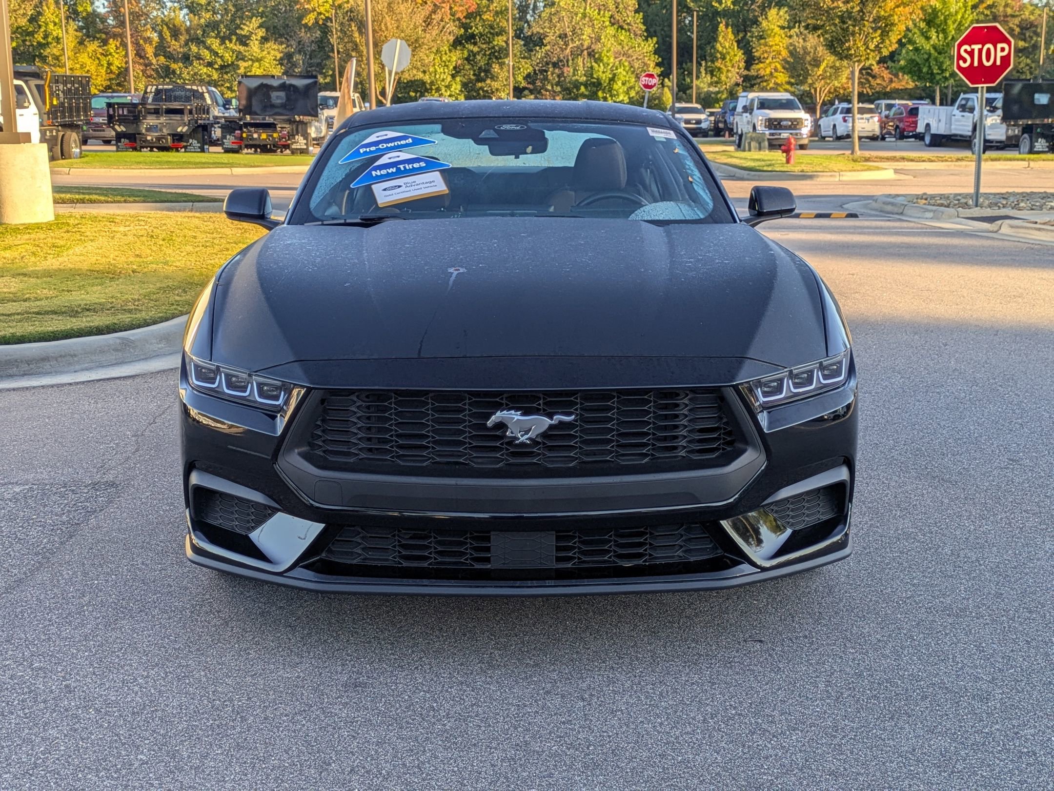 Certified 2024 Ford Mustang Coupe image 10