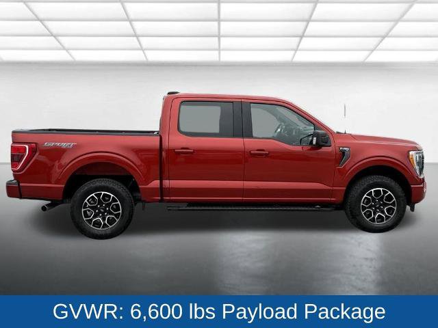 Certified 2023 Ford F150 XLT w/ Equipment Group 302A High AWD/4WD image 14