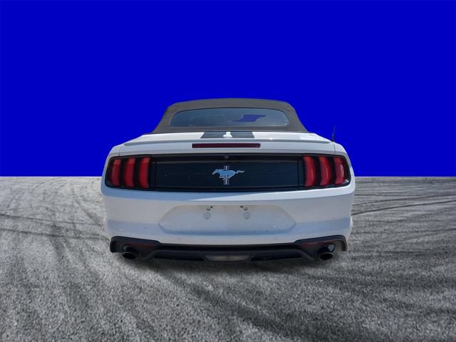 Certified 2020 Ford Mustang Premium w/ Equipment Group 201A RWD image 5