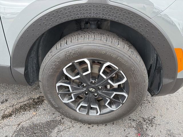 Used 2024 Hyundai Santa Cruz SEL w/ Activity Package image 5