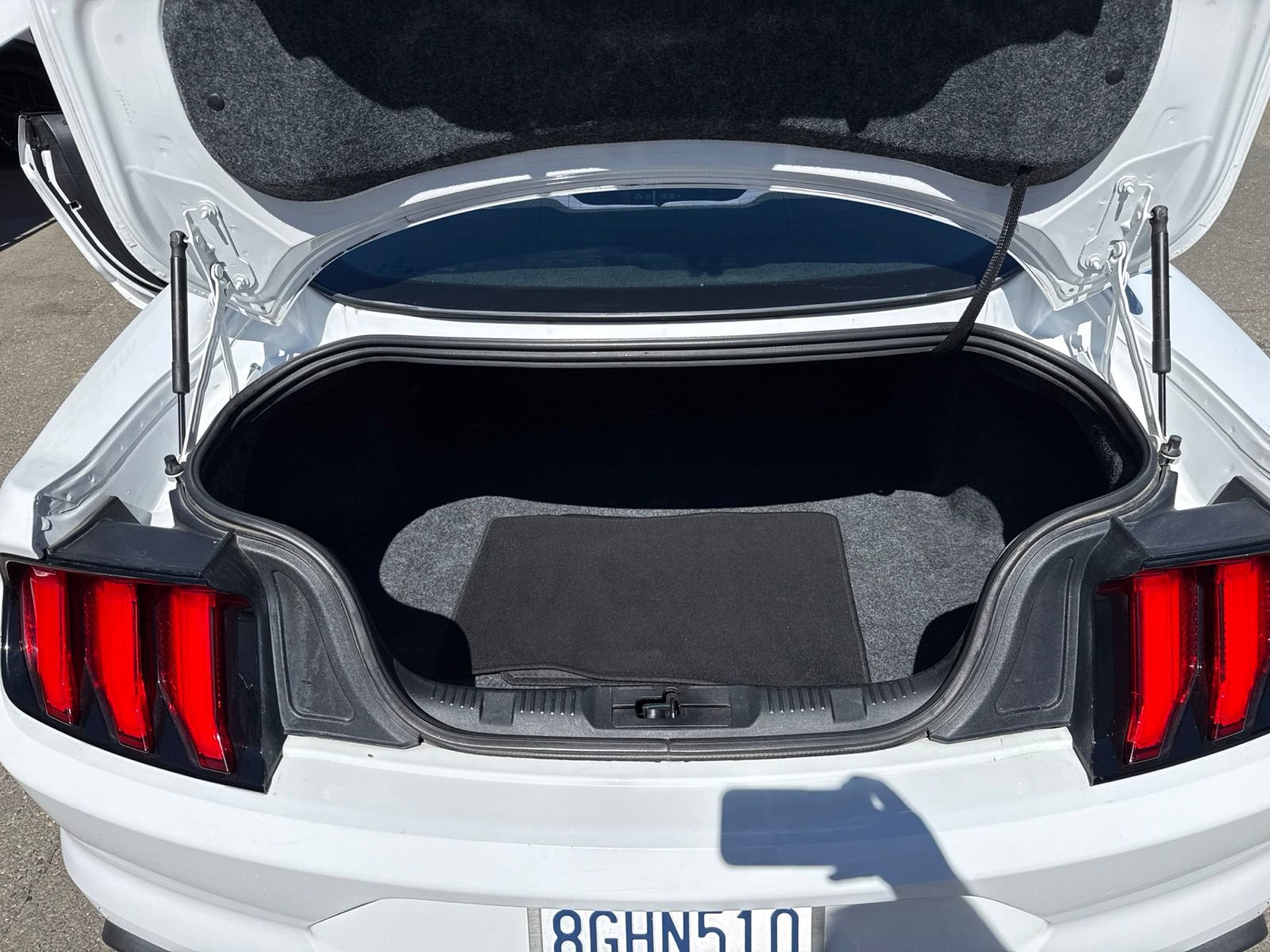 Certified 2019 Ford Mustang GT w/ Equipment Group 301A RWD image 16