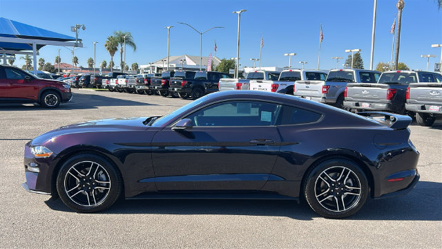 Certified 2023 Ford Mustang Coupe w/ Equipment Group 101A RWD image 7