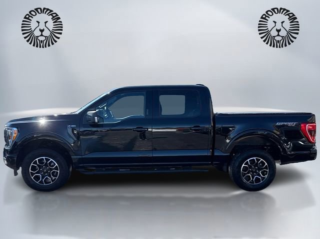 Certified 2023 Ford F150 XLT w/ Equipment Group 302A High image 2