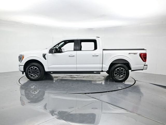 Certified 2023 Ford F150 XLT w/ Equipment Group 302A High image 7