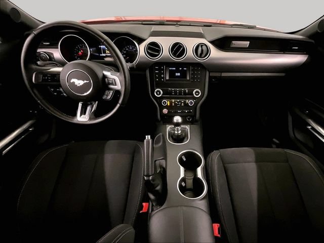 Certified 2019 Ford Mustang GT RWD image 14