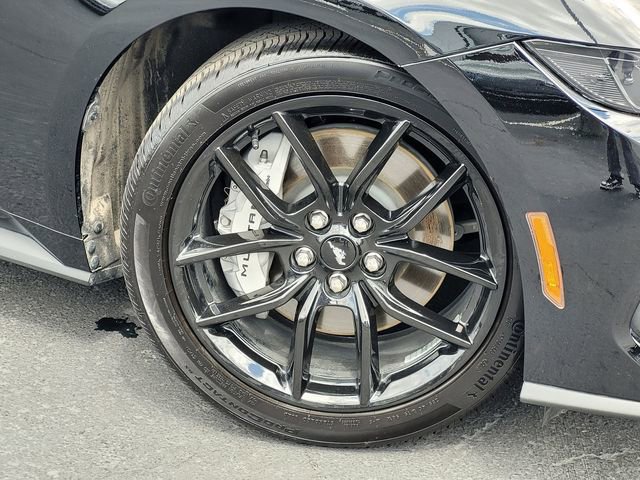 Certified 2025 Ford Mustang GT Premium w/ Mustang Nite Pony Package RWD image 10