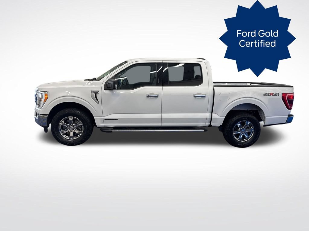 Certified 2023 Ford F150 XLT w/ Equipment Group 302A High AWD/4WD video 2