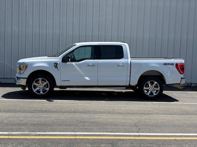 Certified 2023 Ford F150 XLT w/ Equipment Group 302A High AWD/4WD image 2