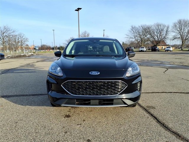 Certified 2022 Ford Escape SE image 6