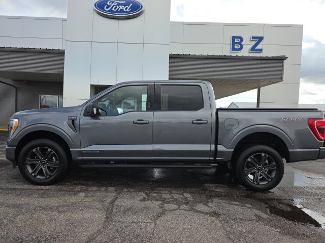 Certified 2023 Ford F150 XLT w/ Equipment Group 302A High AWD/4WD image 2