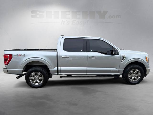 Certified 2023 Ford F150 XLT w/ Equipment Group 302A High AWD/4WD image 10